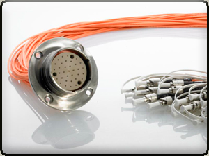 24 Channel F-Link Receptacle Assembly - Size F