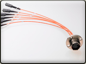 6 Fiber F-Link Receptacle