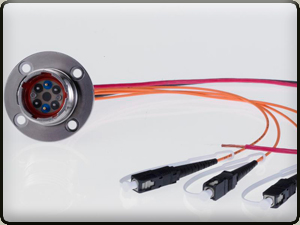 6 Fiber F-Link Receptacle Close Up