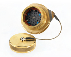 SS22, Jam-Nut Receptacle, External, Male